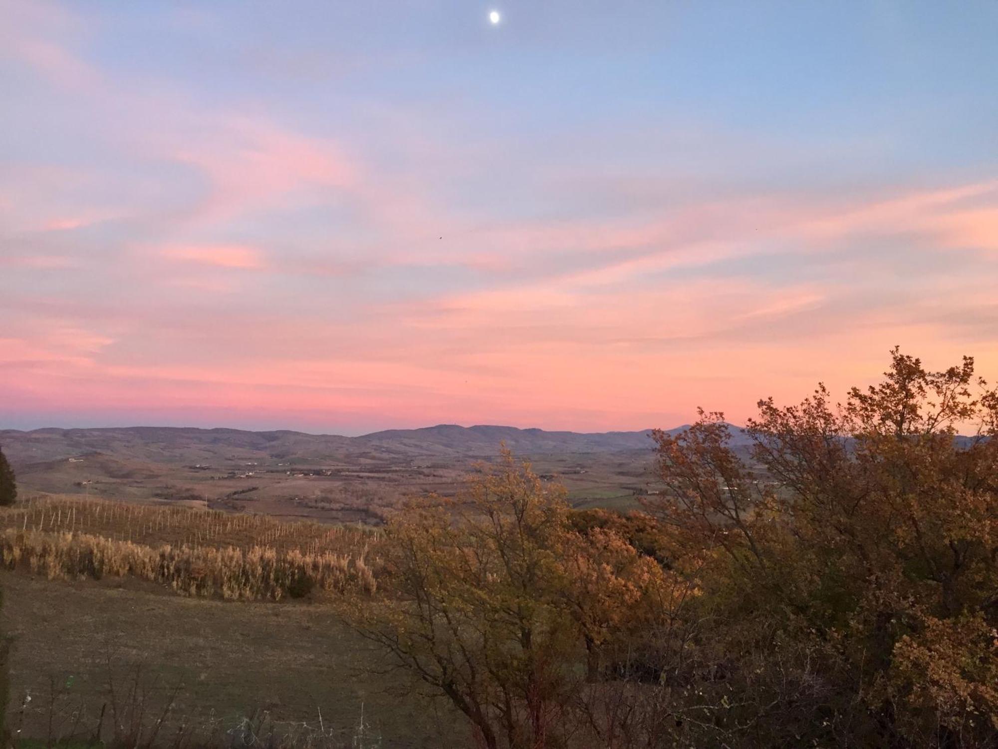 Agriturismo Le Querciole In Val D'Orcia Bagno Vignoni Exteriör bild