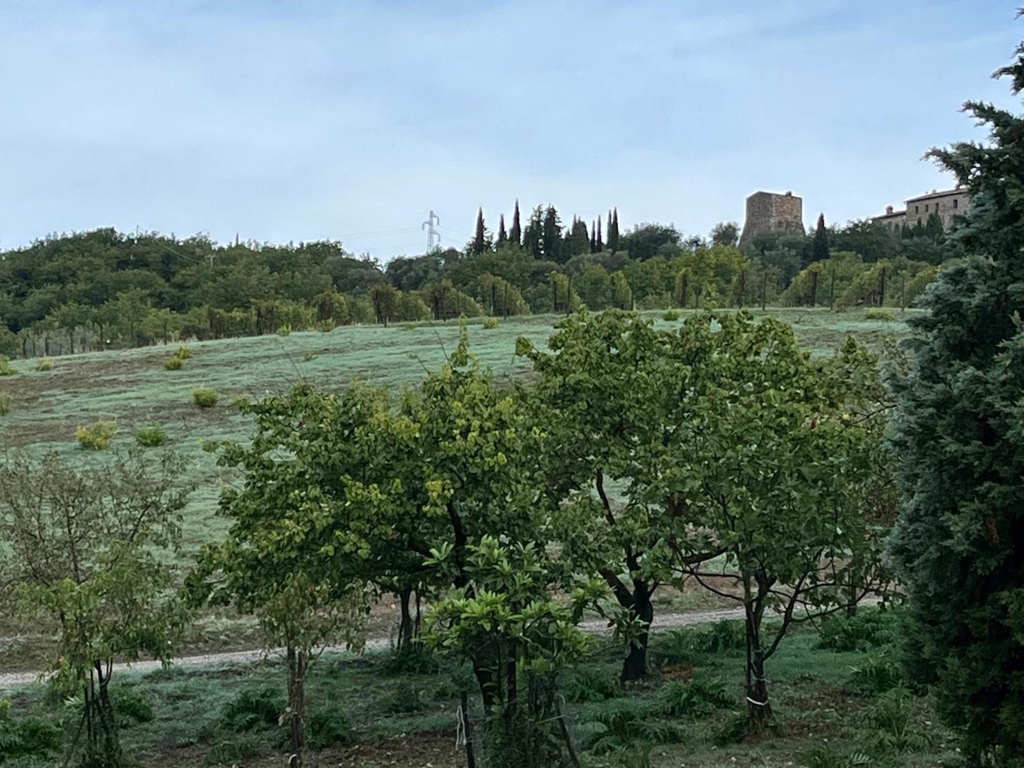 Agriturismo Le Querciole In Val D'Orcia Bagno Vignoni Exteriör bild