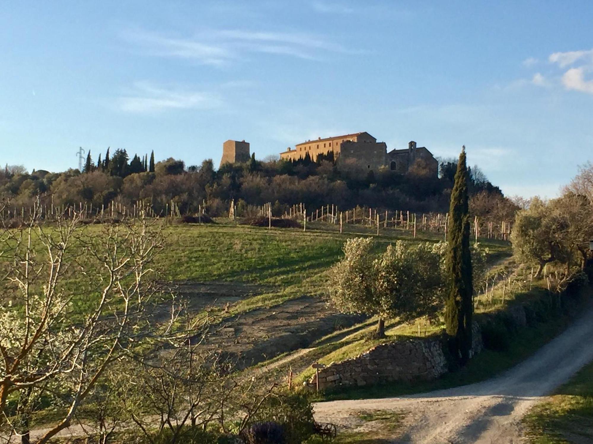 Agriturismo Le Querciole In Val D'Orcia Bagno Vignoni Exteriör bild