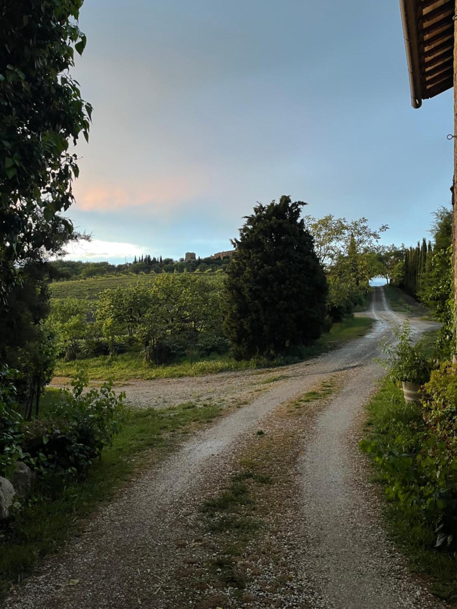 Agriturismo Le Querciole In Val D'Orcia Bagno Vignoni Exteriör bild
