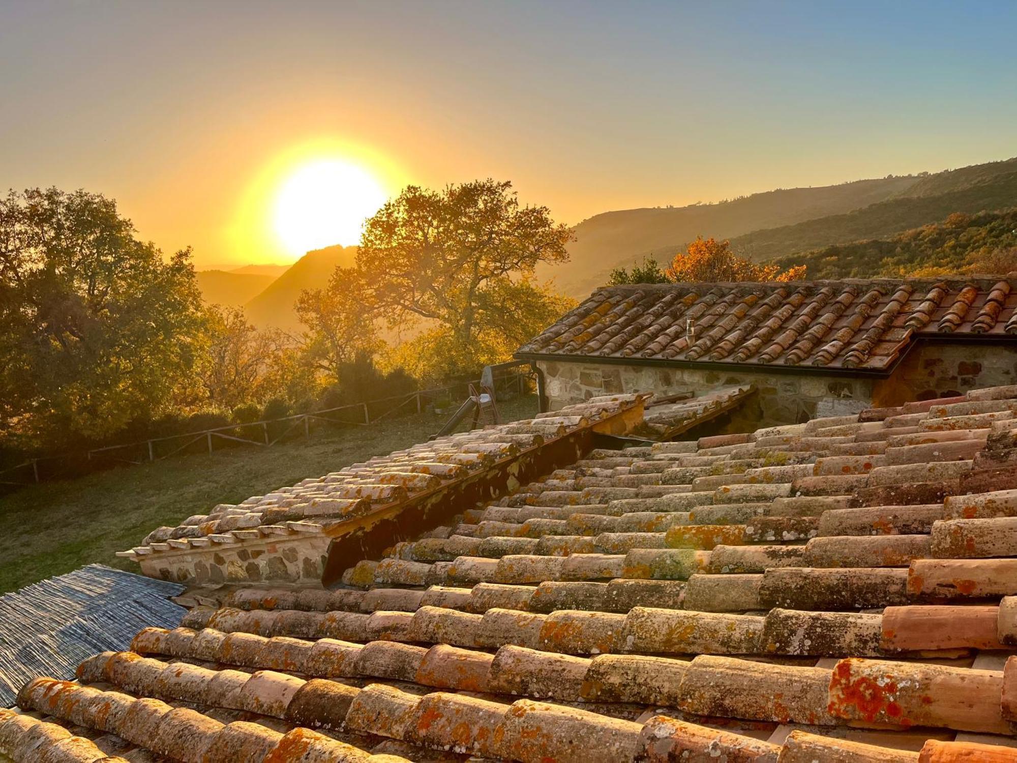 Agriturismo Le Querciole In Val D'Orcia Bagno Vignoni Exteriör bild
